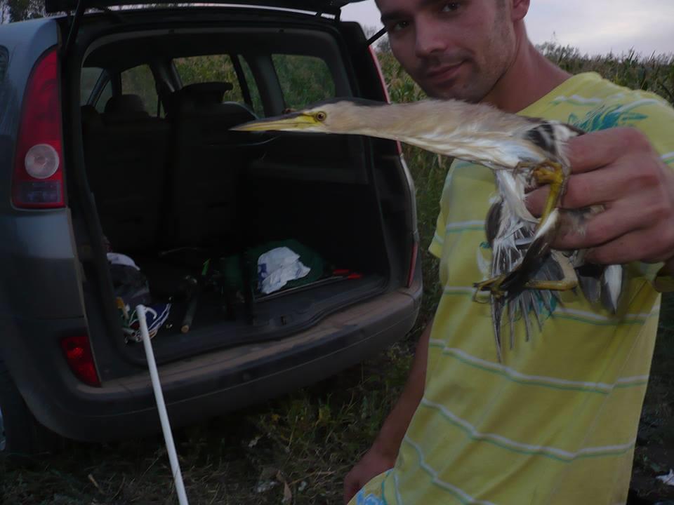 Best Off - 14641115838867649977461269937797n.jpg